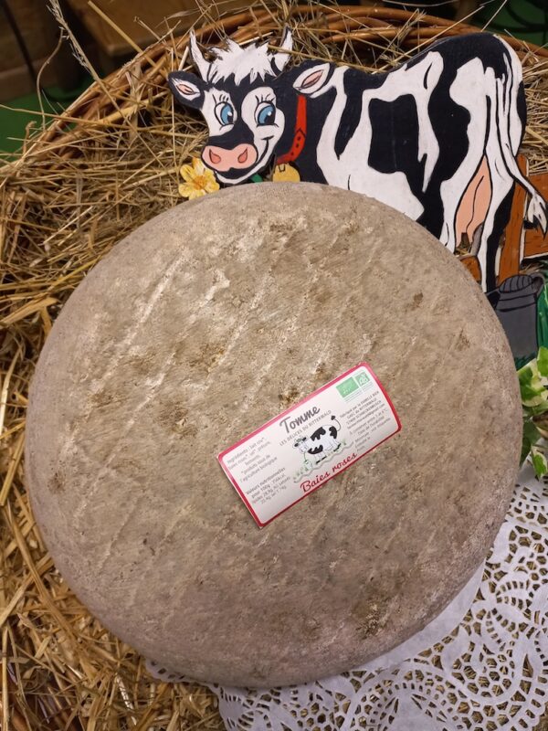 Tomme Baie rose