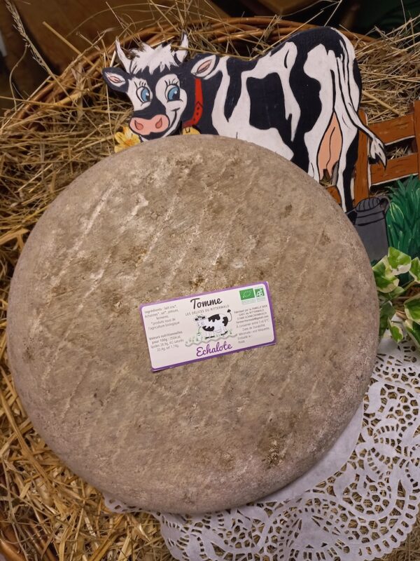 Tomme echalote