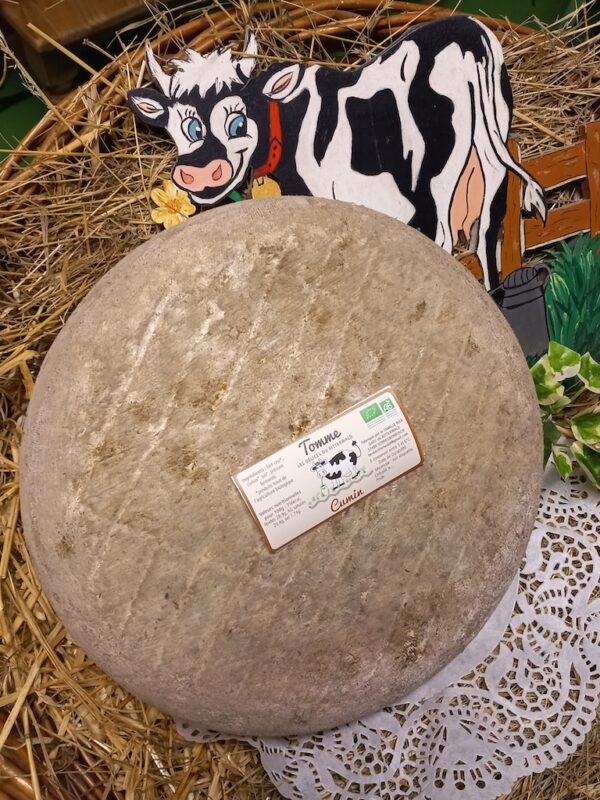 Tomme cumin