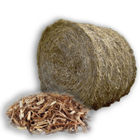 Accueil